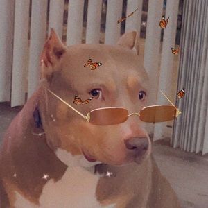 Meet your Posher, Casey